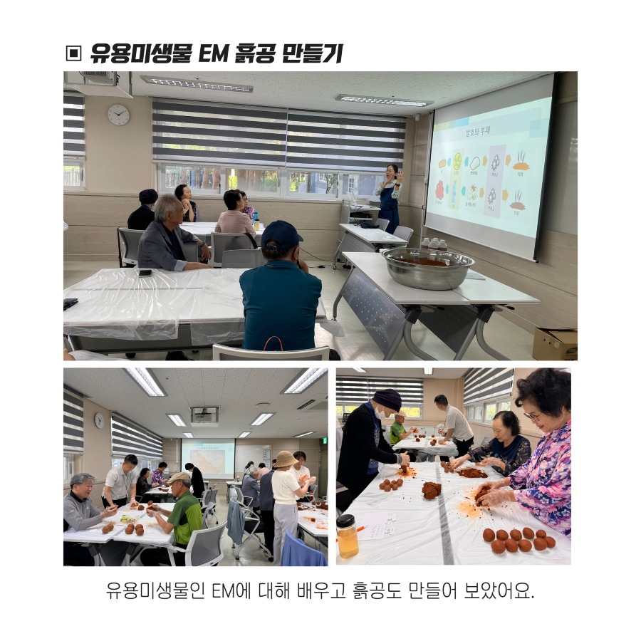 친환경 8.jpg