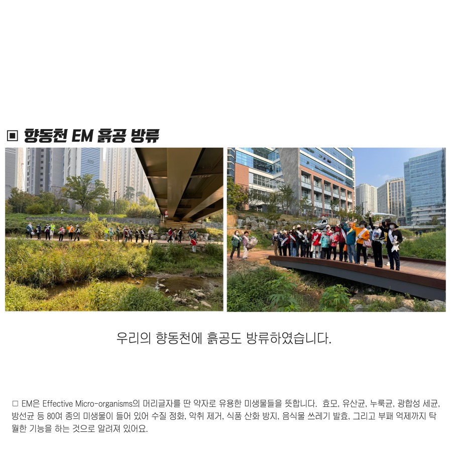 친환경 11.jpg