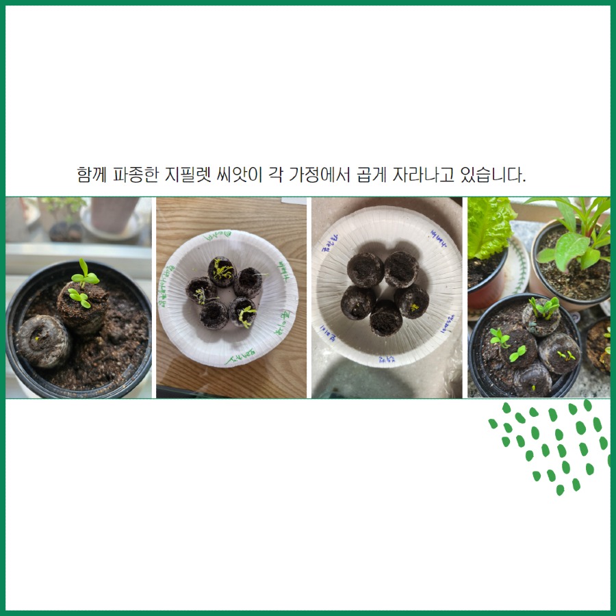 도시농부 9.jpg