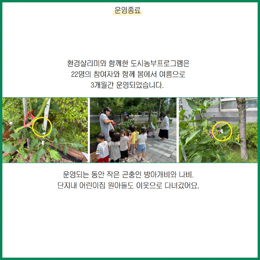 도시농부(종료) 7.jpg